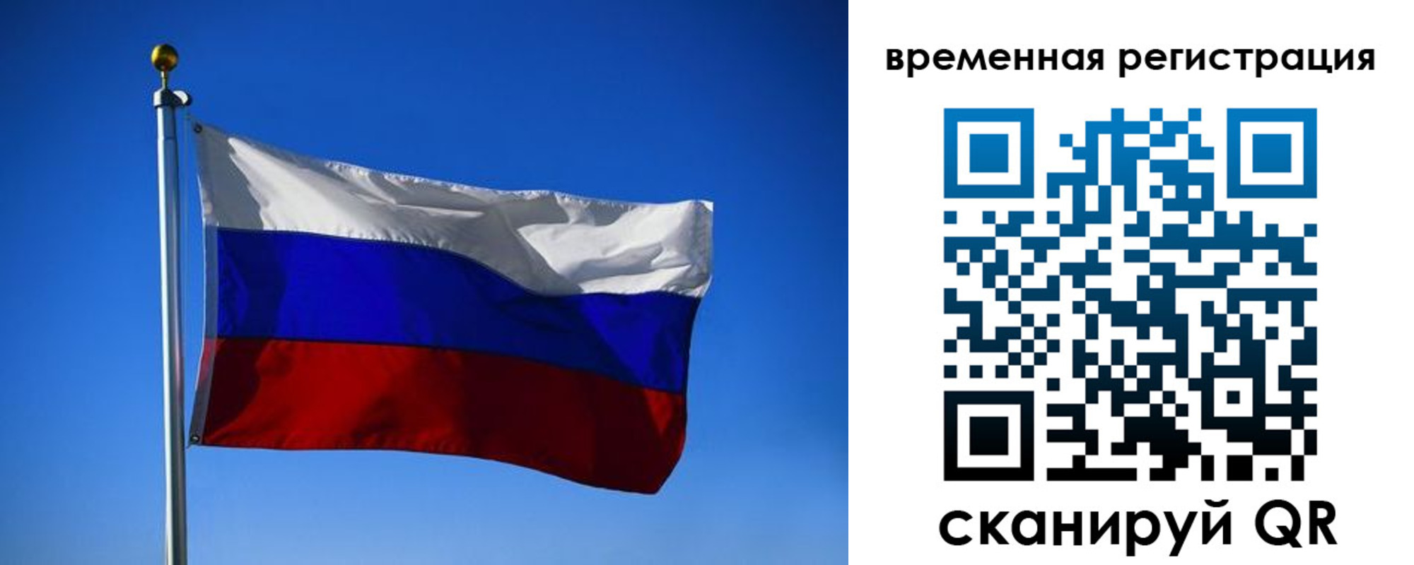 прописка штамп в Вельске